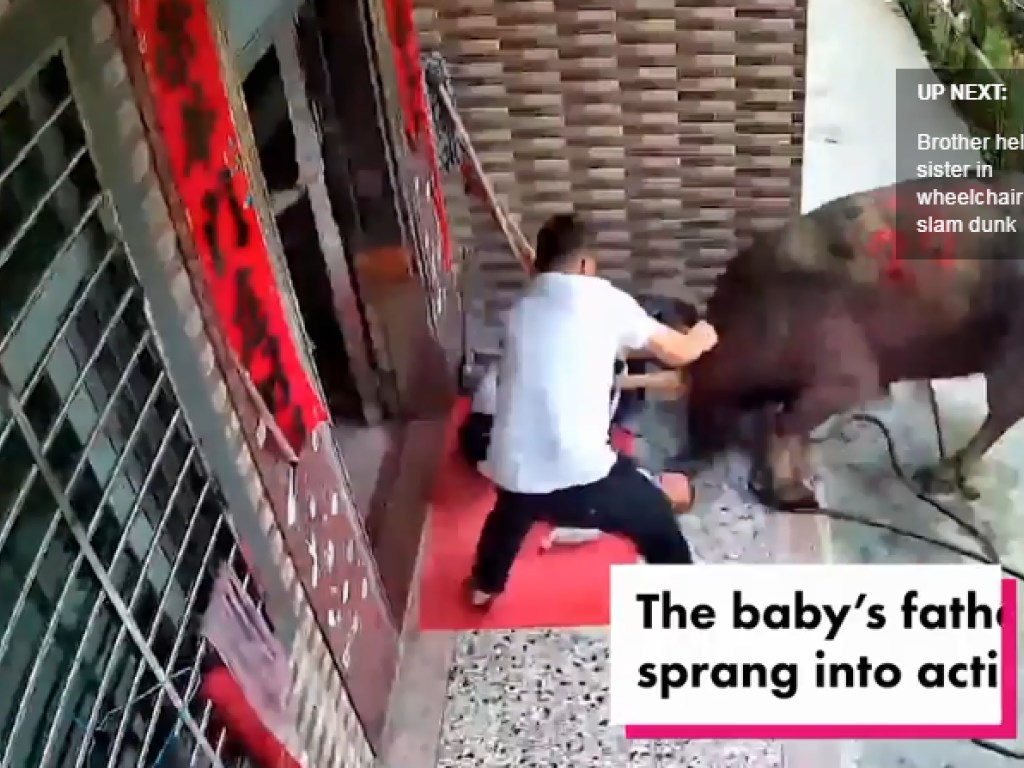 Разъяренный бык снес с ног мать с ребенком на руках: жуткое видео
