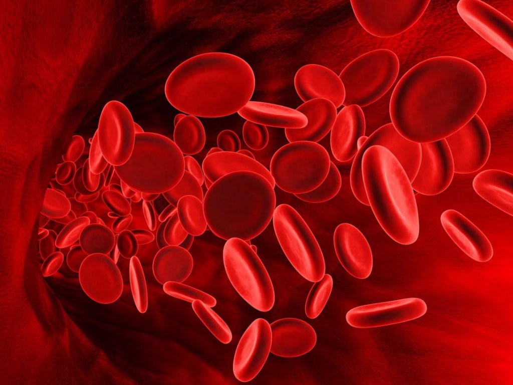 Ученые определили самую «стойкую» к коронавирусу группу крови