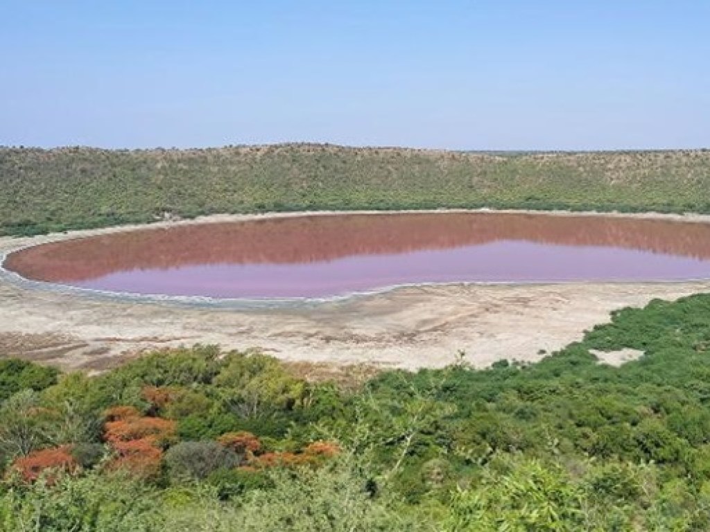 В Индии озеро внезапно порозовело (ФОТО)
