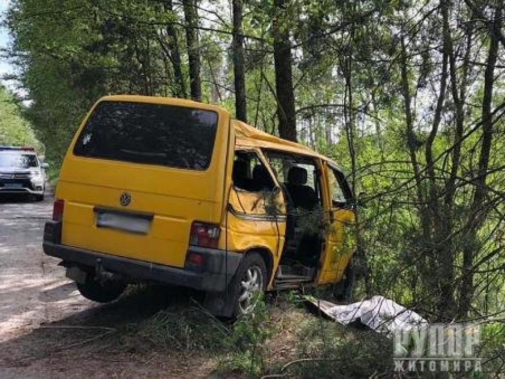 На Житомирщине водитель Volkswagen T-4 врезался в дерево: один погибший, трое травмировано (ФОТО)