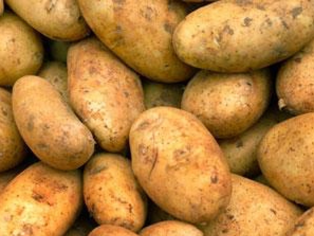 В Украине на 50% подешевеет картофель – эксперт