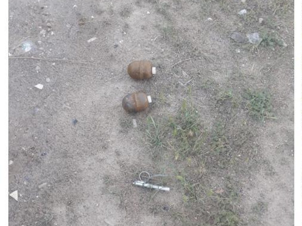 В Одесской области 5 человек пострадали от взрыва боевой гранаты (ФОТО)