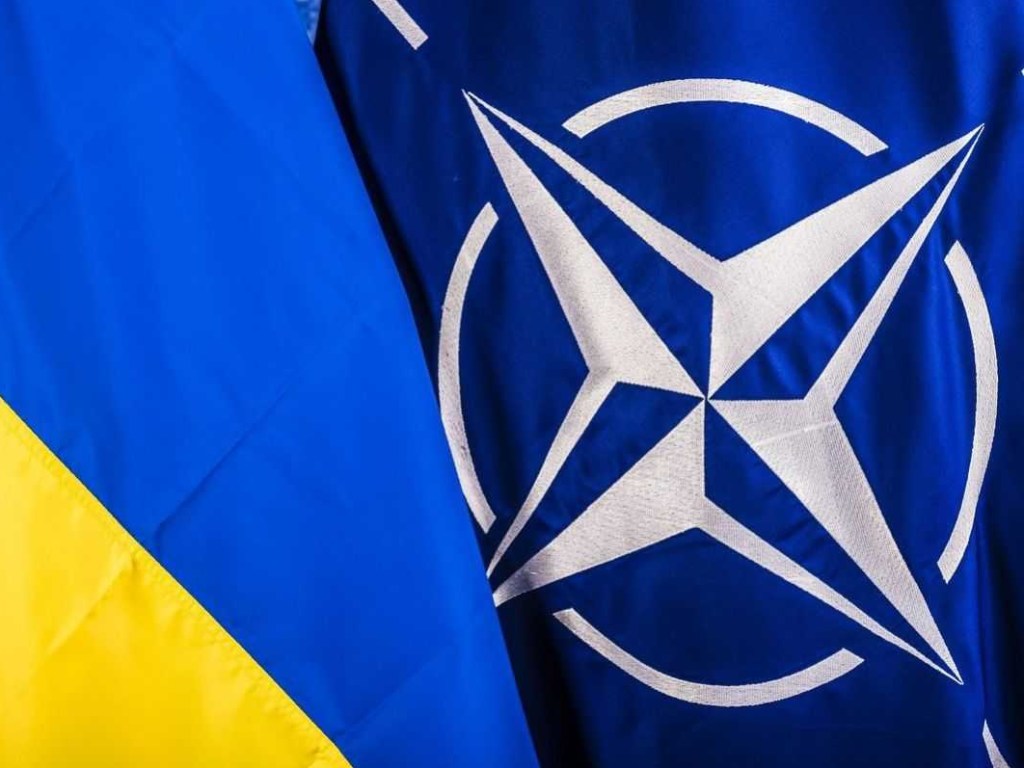 Стефанишина: НАТО ожидает от Украины принятия ряда законов