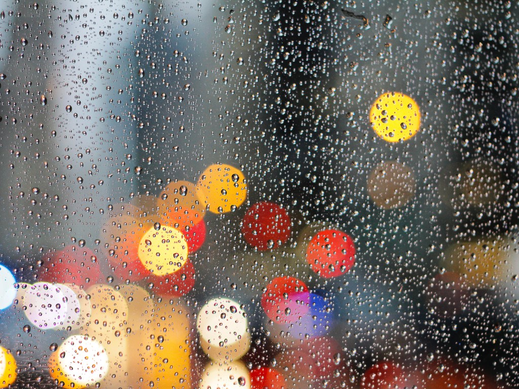 Погода на 16 июня: в центральных, северных, западных южных областях Украины ожидаются дожди