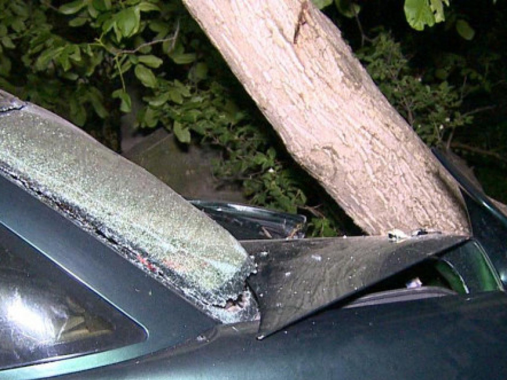 Пьяная женщина на авто сбила четырех детей под Винницей (ФОТО)