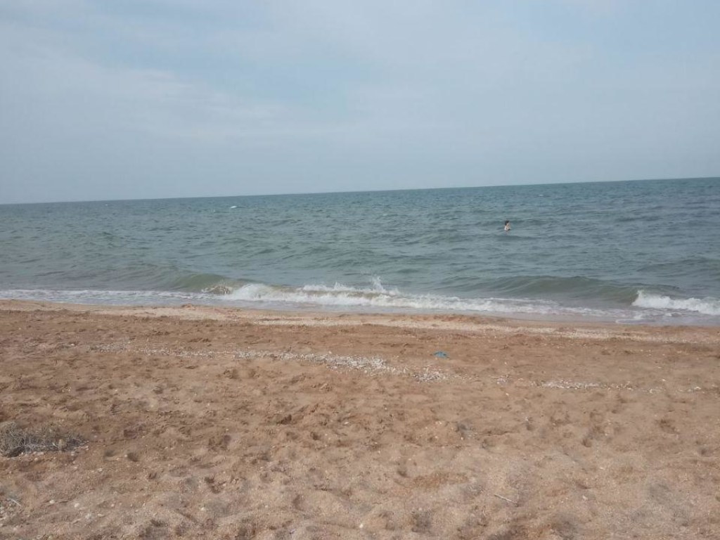 СМИ показали место для недорогого отдыха: безлюдный пляж возле Азовского моря (ФОТО, ВИДЕО)