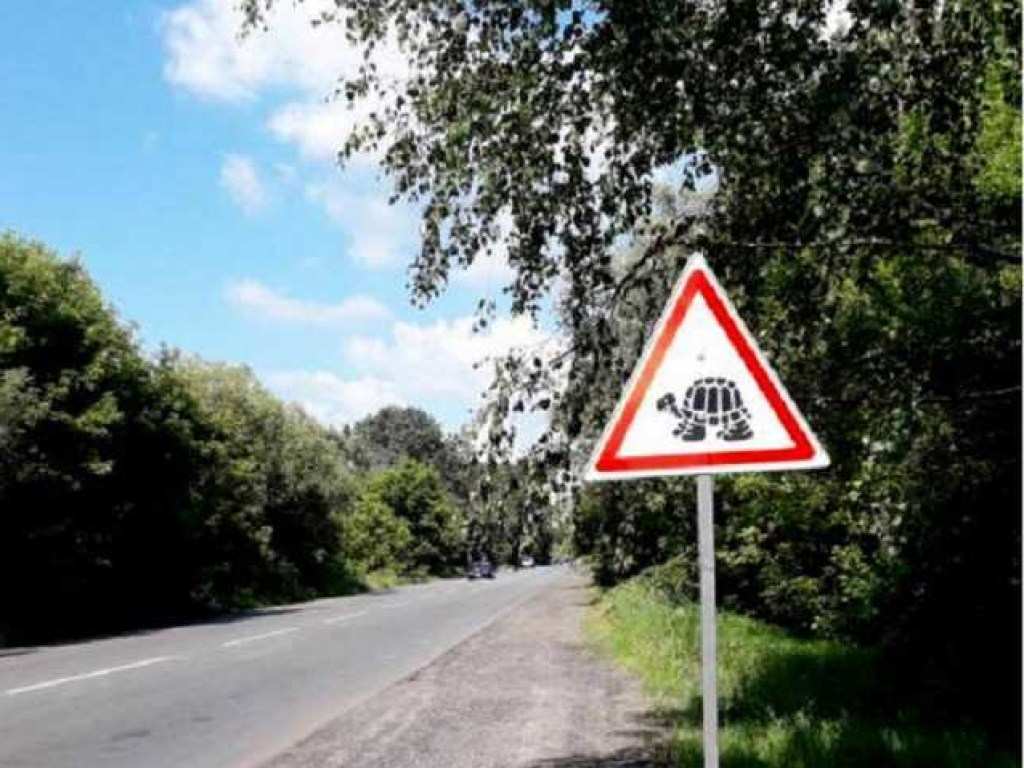 На украинских дорогах могут появиться новые дорожные знаки (ФОТО)