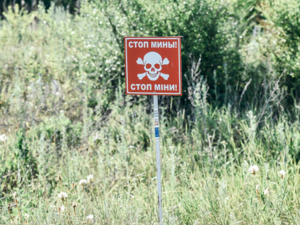 В Луганской области взорвалась мина: получили ранения двое военных