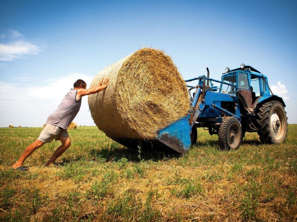 В Украине сегодня впервые отмечают День фермера