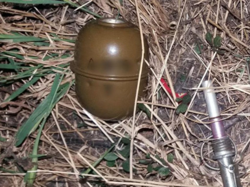 В Украинске мужчина ходил по улице с гранатой РГД-5 (ФОТО)