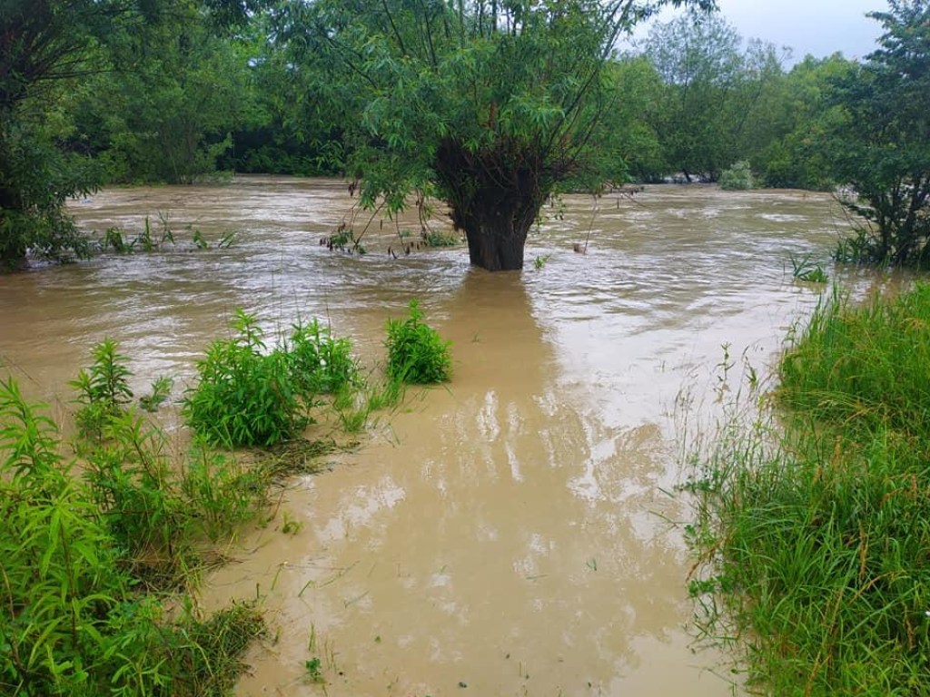 В Черновицкой области после обильного дождя вышла из берегов река: затопило часть села (ФОТО)
