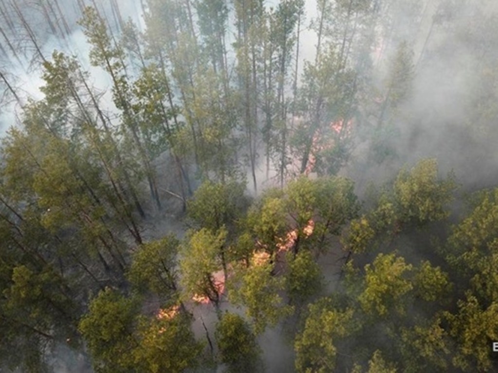 В Чернобыльской зоне лесной пожар – ГСЧС