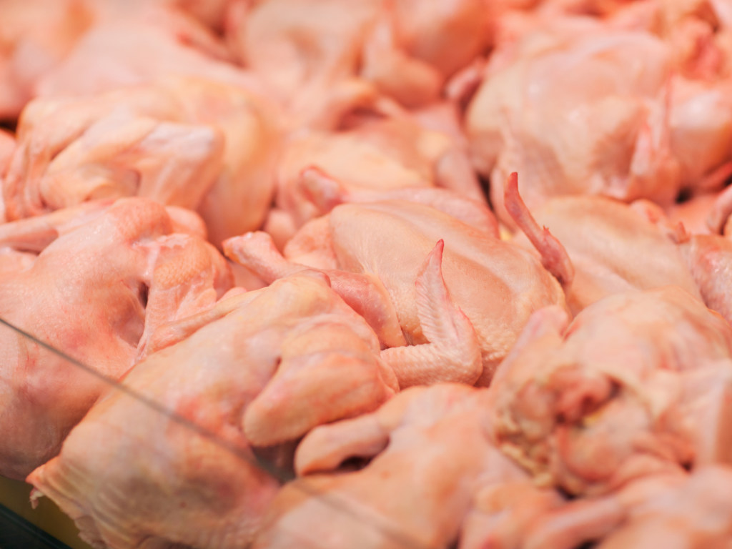 Крупные производители курятины в Украине антибиотики не используют &#8212; эксперт