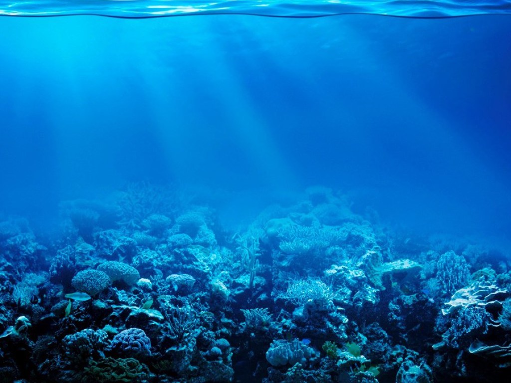 Ученые рассказали о существовании огромного океана глубоко под землей