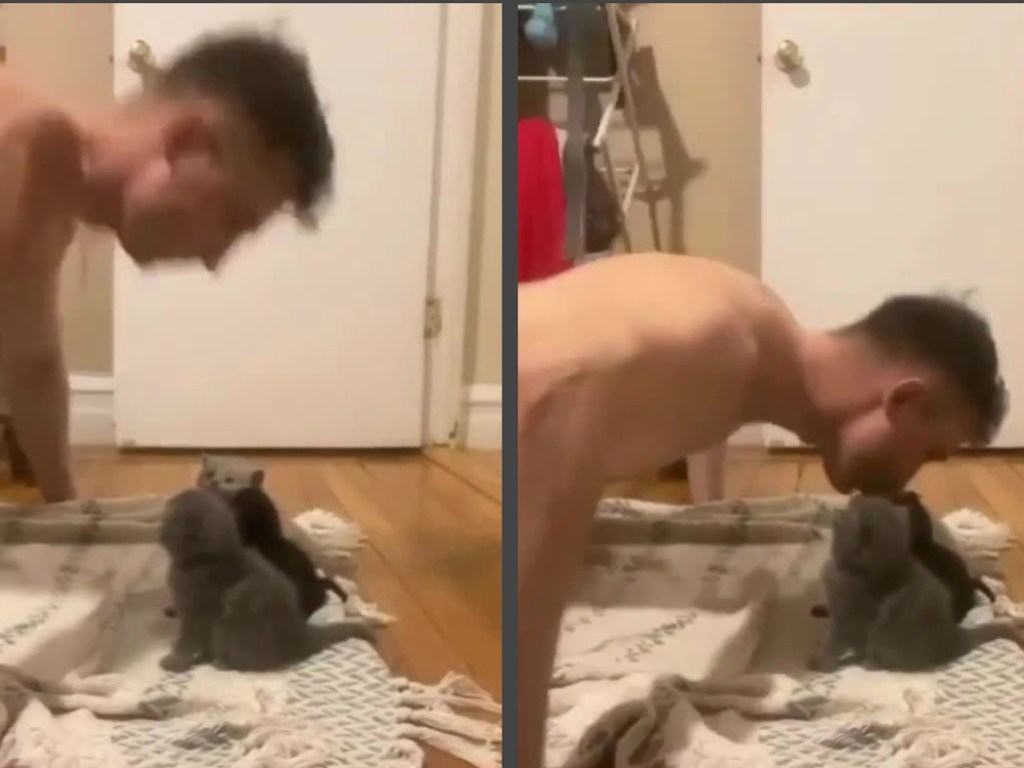 Мужчина придумал мотивацию для занятия спортом: целовал котят (ФОТО, ВИДЕО)