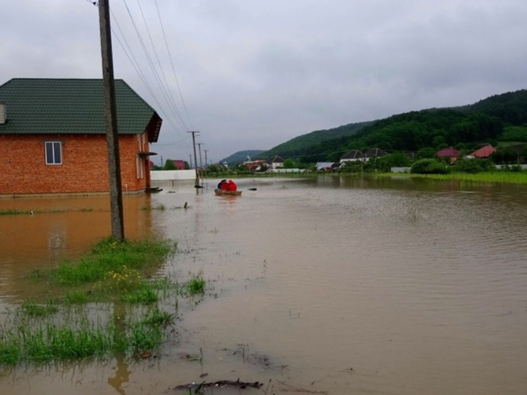 Потоп на Западной Украине: в Карпатах нужно запретить вырубку леса – эколог