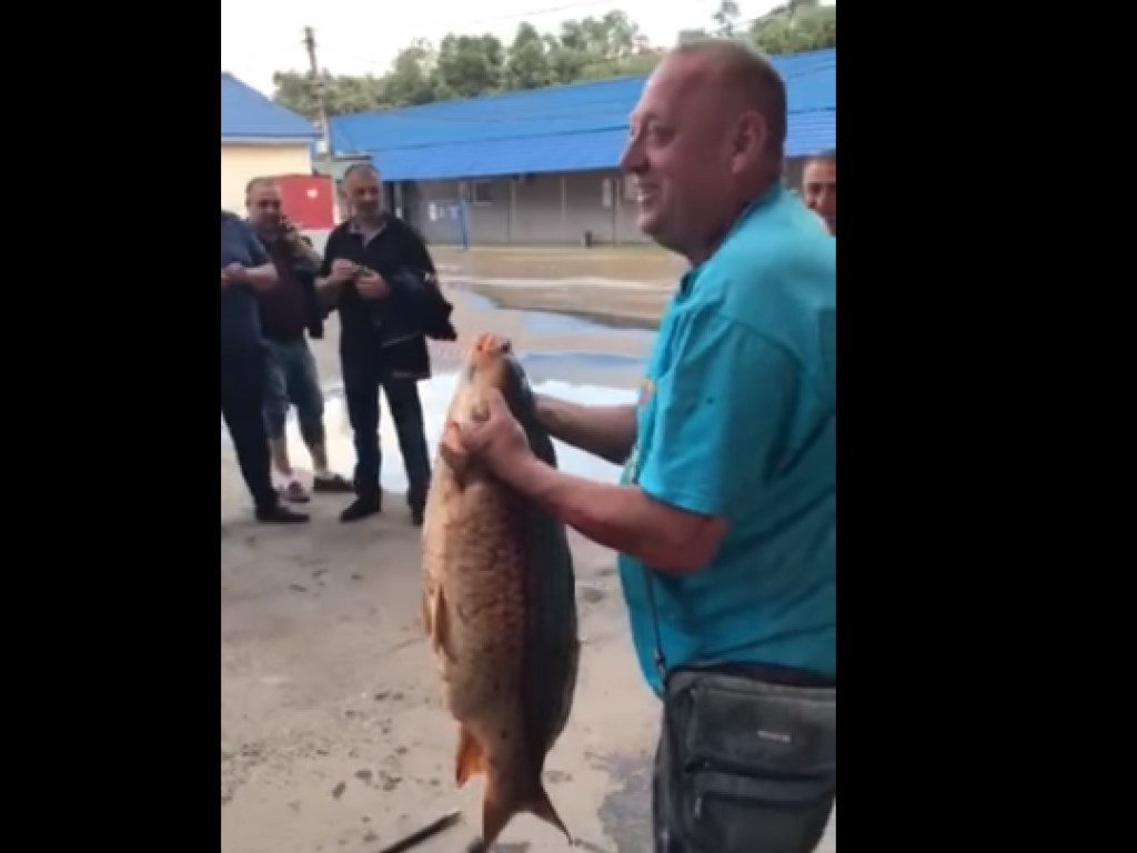 Мужчина голыми руками поймал крупную рыбу на затопленном рынке в Черновцах (ВИДЕО)