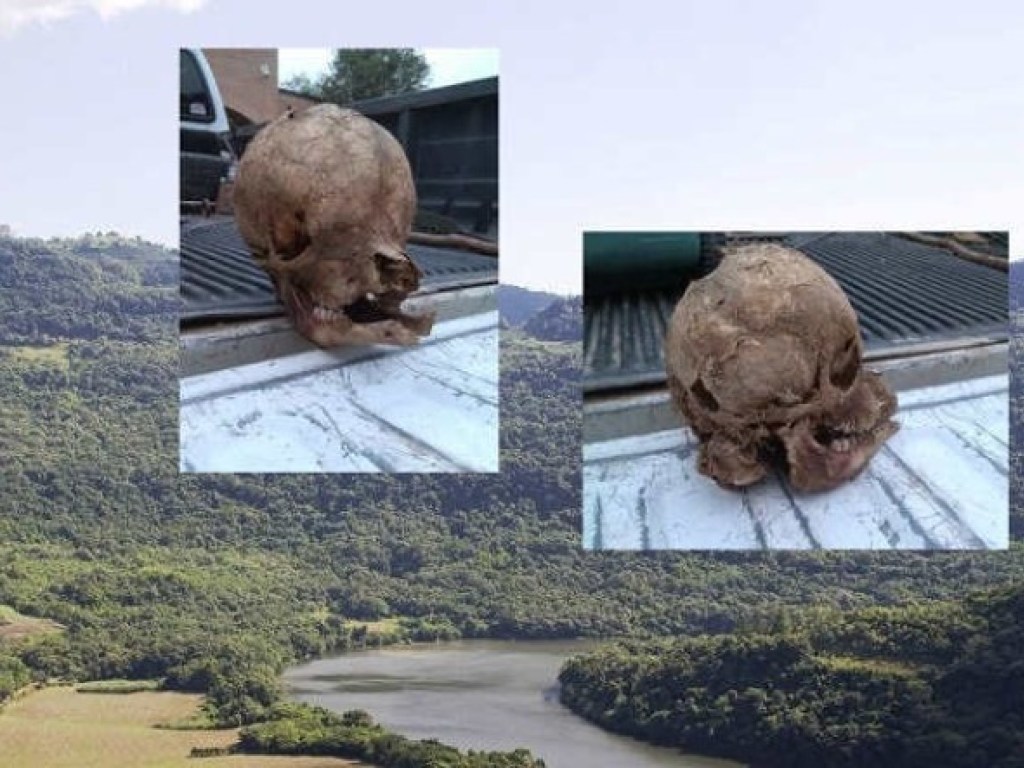 На ранчо в Техасе обнаружили очень странный череп (ФОТО)