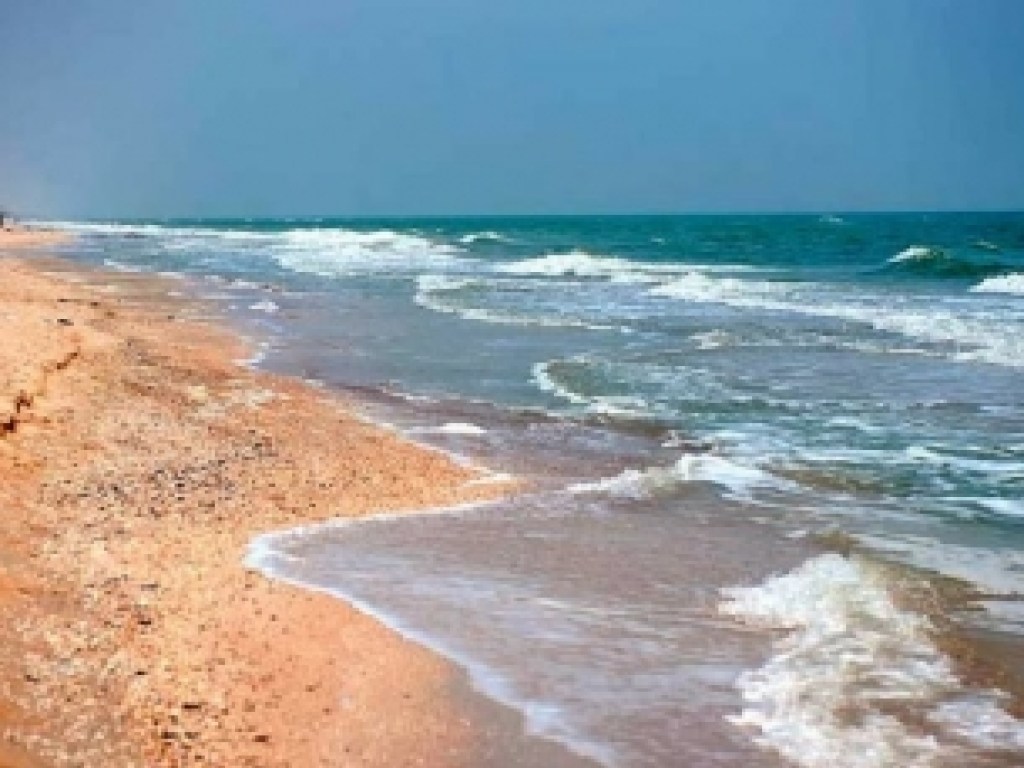 На Киррилловке волнами к пляжу прибило труп дельфина (ФОТО)