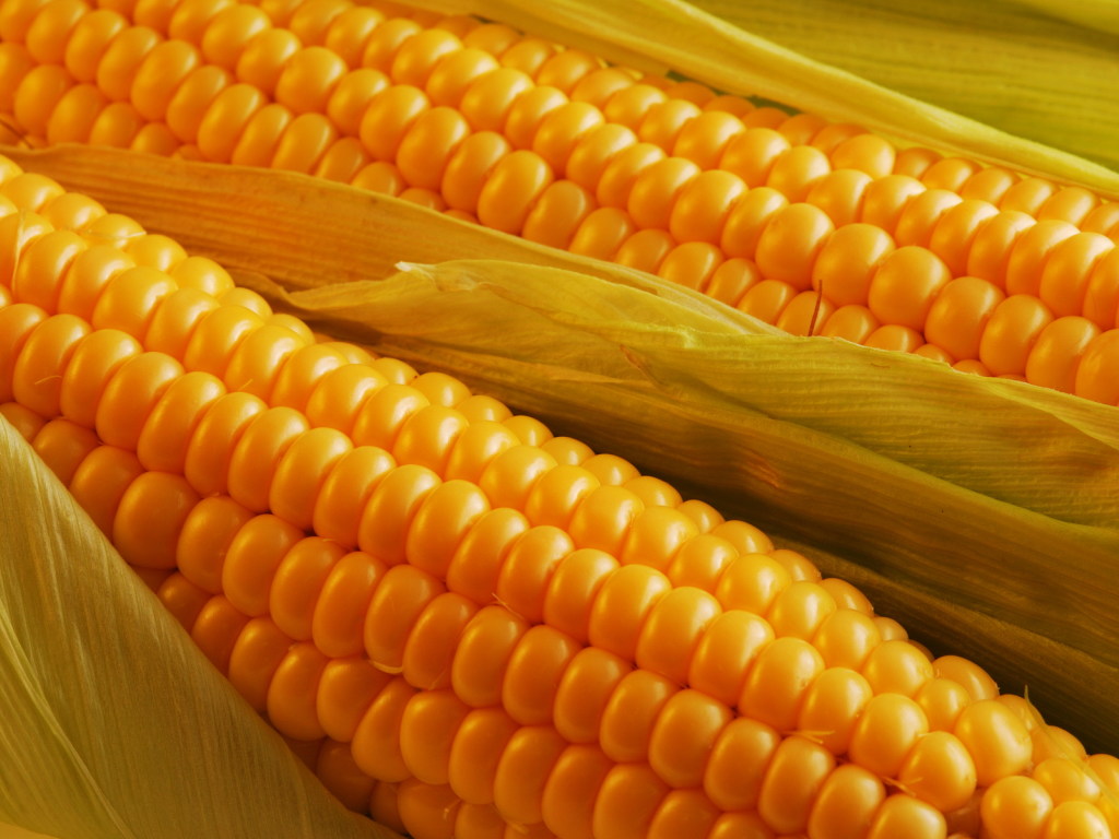 Это рекорд: в столичных супермаркетах кочан кукурузы продают за 34 гривны (ФОТО)