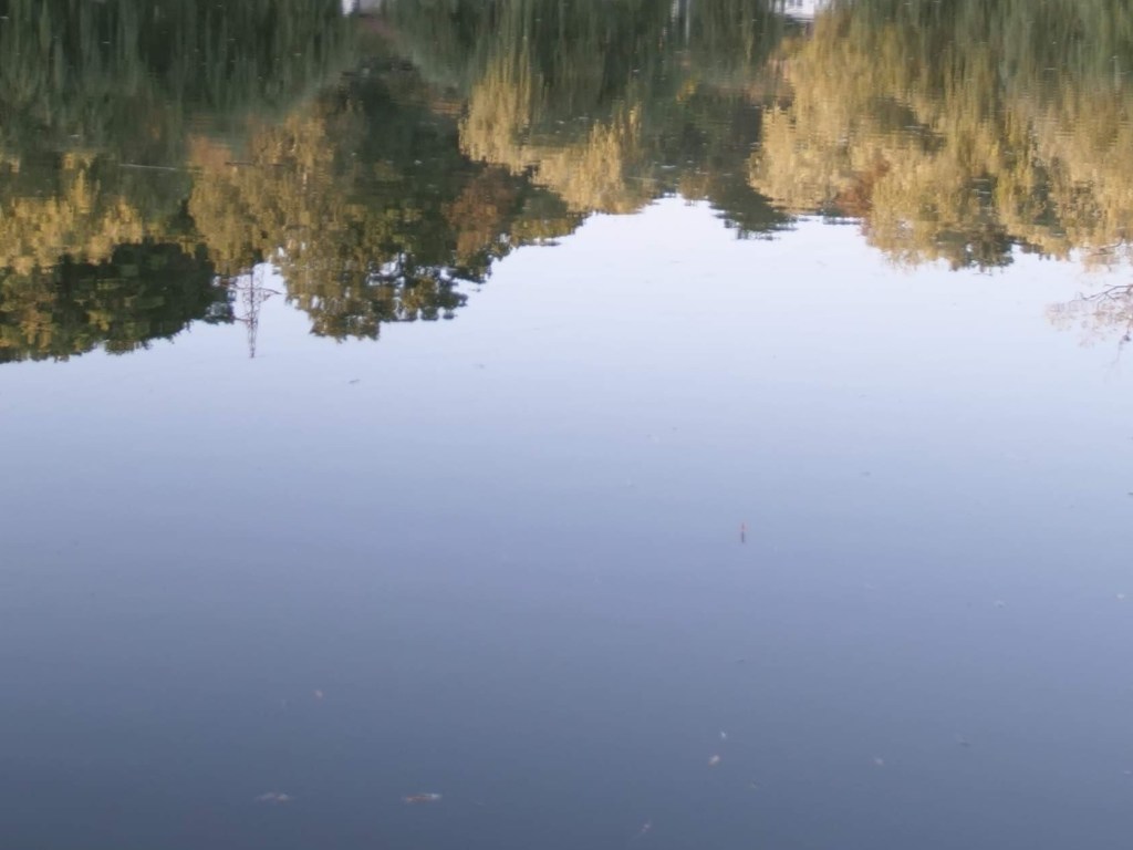 В Донецкой области в озере утонул мальчик