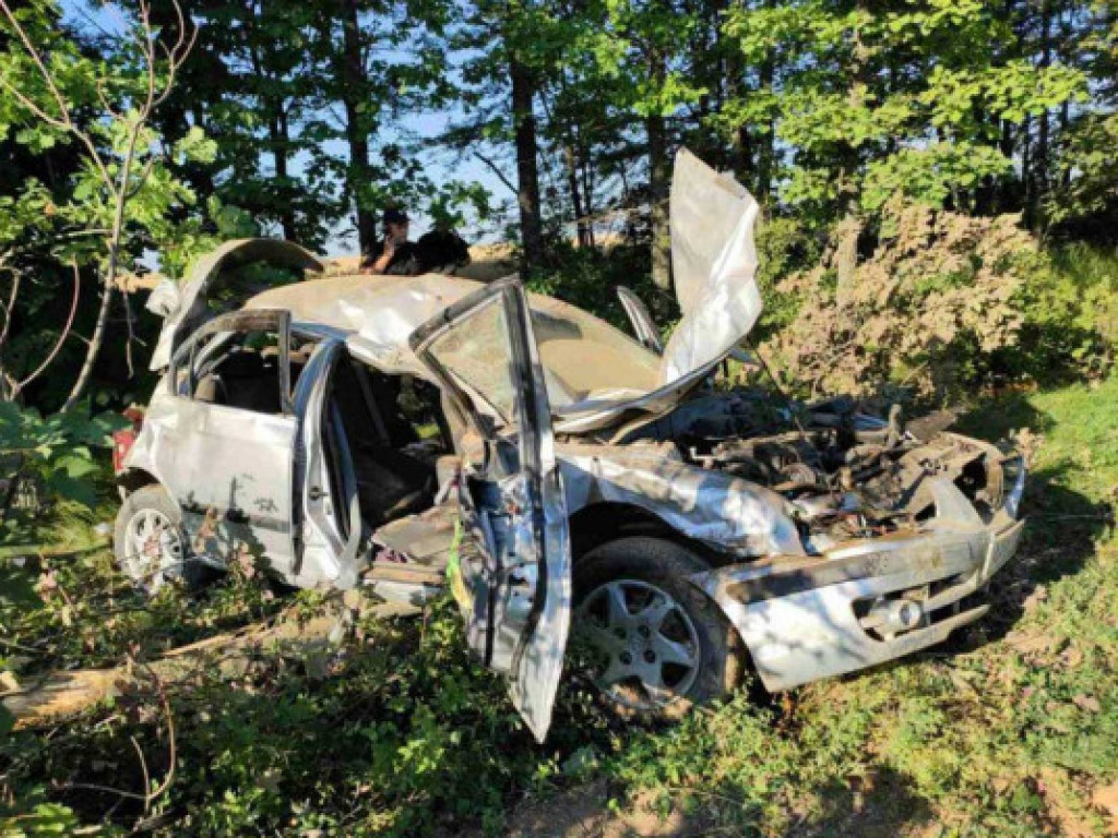 Пострадали 2 взрослых и 2 детей: В Запорожской области Hyundai врезался в дерево (ФОТО)