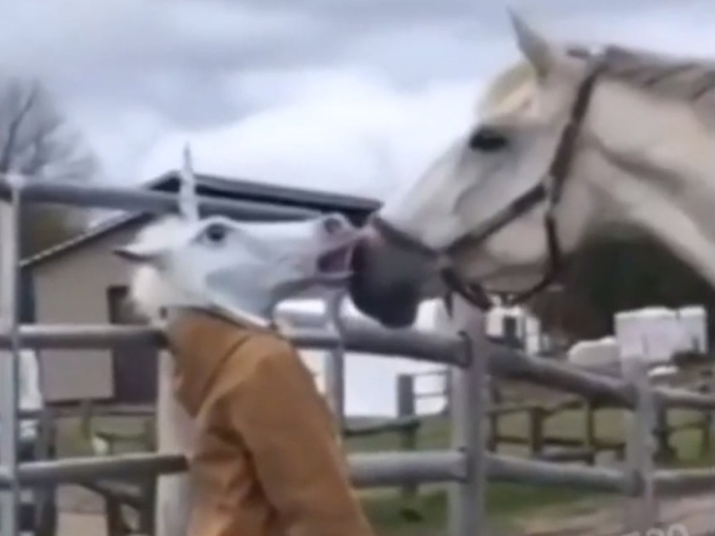 Забавное видео из Сети: девушка резко сняла перед конем маску и напугала животное