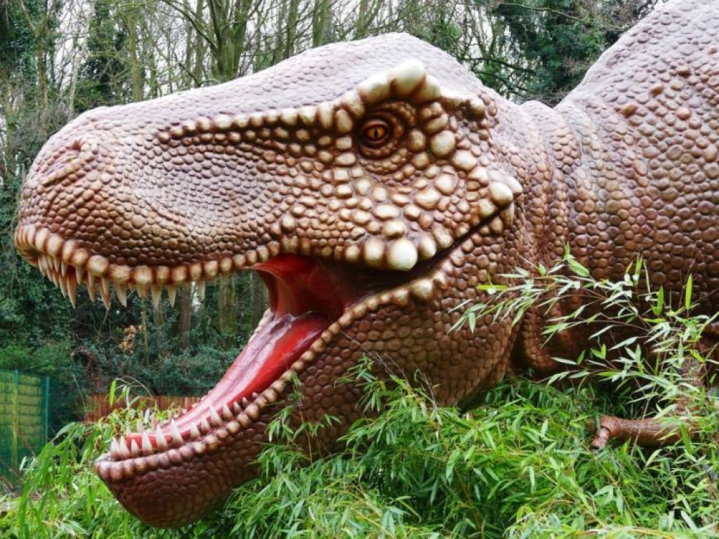 Ученые назвали новую причину гибели динозавров