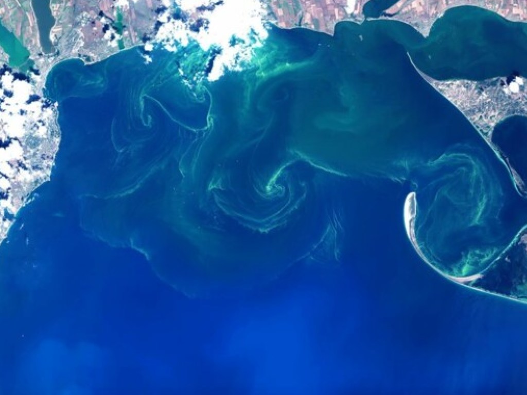 У берегов Одессы море поменяло свой цвет (ФОТО)