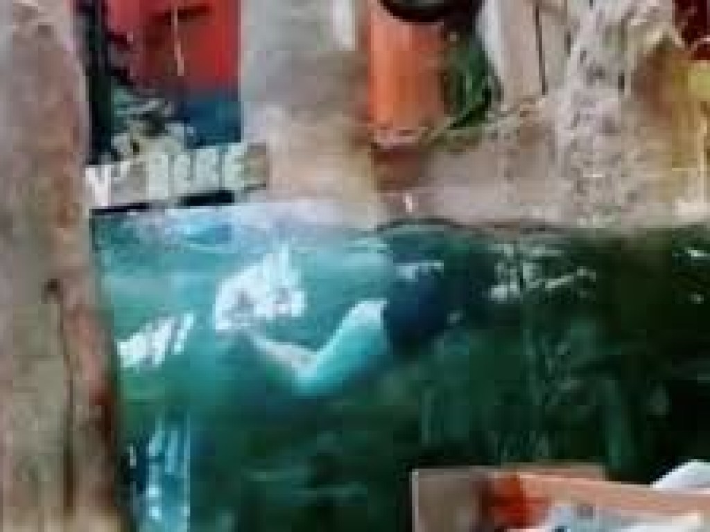Парень нырнул в аквариум супермаркета ради лайков в соцсетях (ФОТО, ВИДЕО)