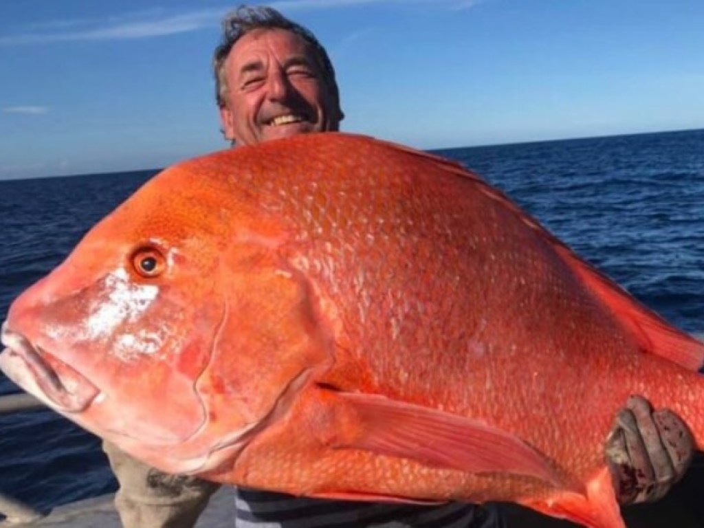 Рыбак отдаст огромную рыбу ученым для исследований (ФОТО)