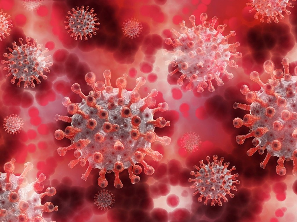 Ученые рассказали, кровь какого животного содержит антитела против коронавируса