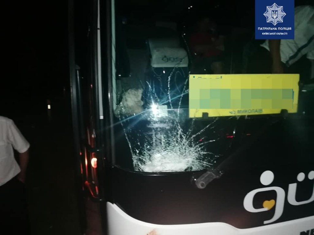 В Киевской области водитель пассажирского автобуса сбил лося (ФОТО)