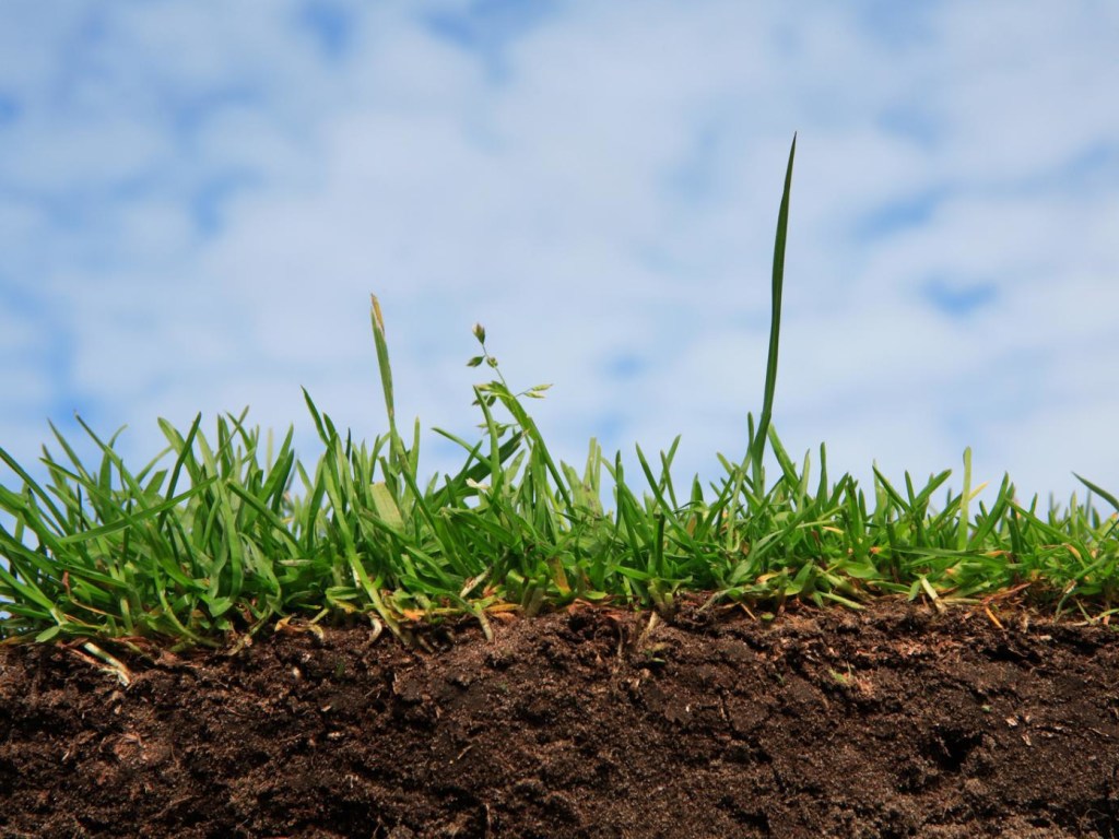 Для качественного орошения украинских полей нужна система дренажирования почвы &#8212; аграрий