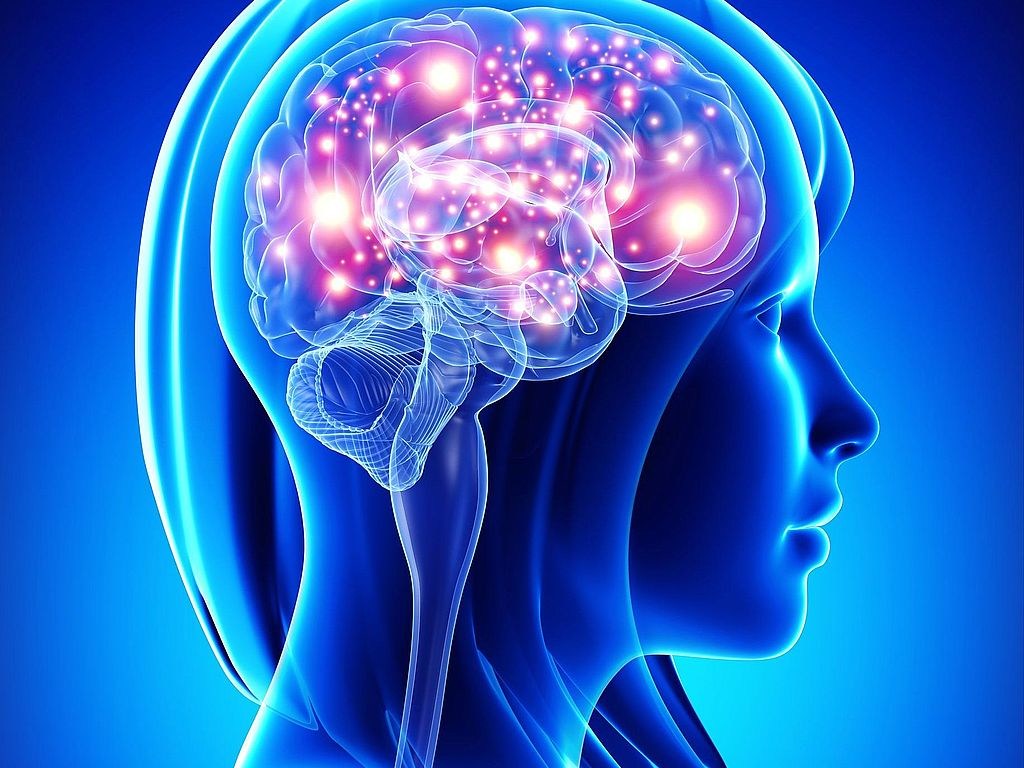 Омоложение и регенерация: Ученые нашли способ восстановить клетки спинного  и головного мозга (ФОТО): читать на Golos.ua