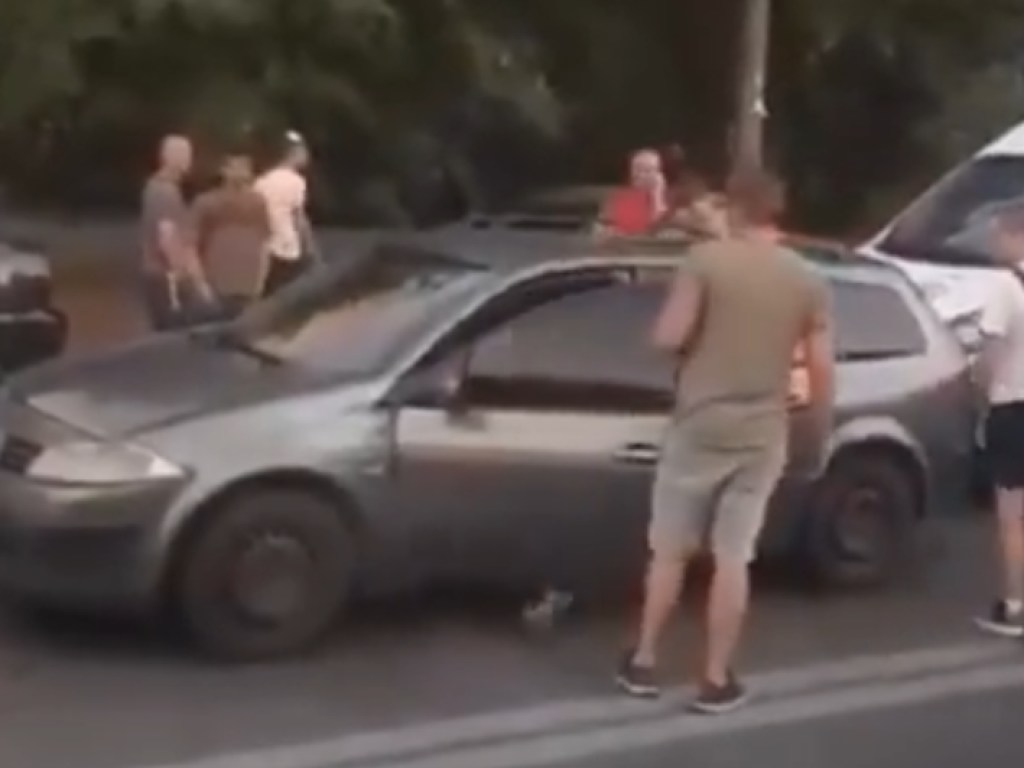 На Харьковском массиве в Киеве пьяный ветеран МВД во время побега врезался в дерево (ВИДЕО)