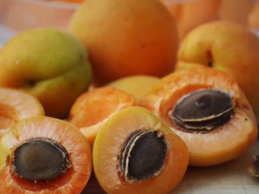 Замедляет старение, обновляет функции мужского тела: Врачи назвали пользу для здоровья от абрикосов