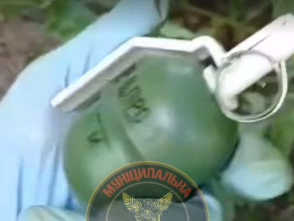В столичном парке нашли «растяжку» с гранатой: могли пострадать дети (ФОТО, ВИДЕО)