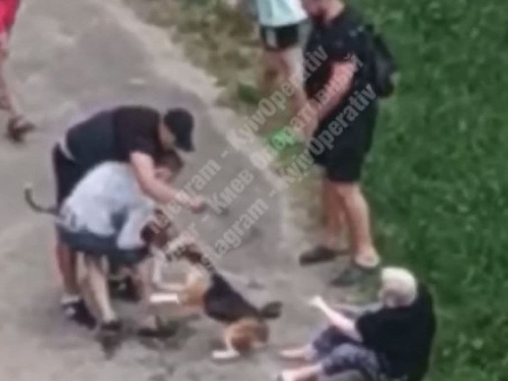 На Оболони в Киеве произошла жесткая схватка между собаками (ВИДЕО)