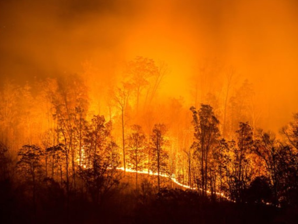 Лесные пожары в Сибири: огонь охватил 3 миллиона гектаров (ФОТО)