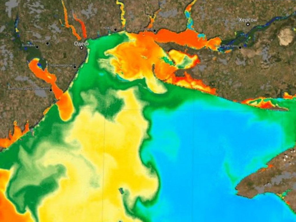 Из космоса показали цветущее Черное море у берегов Одессы (ФОТО, ВИДЕО)