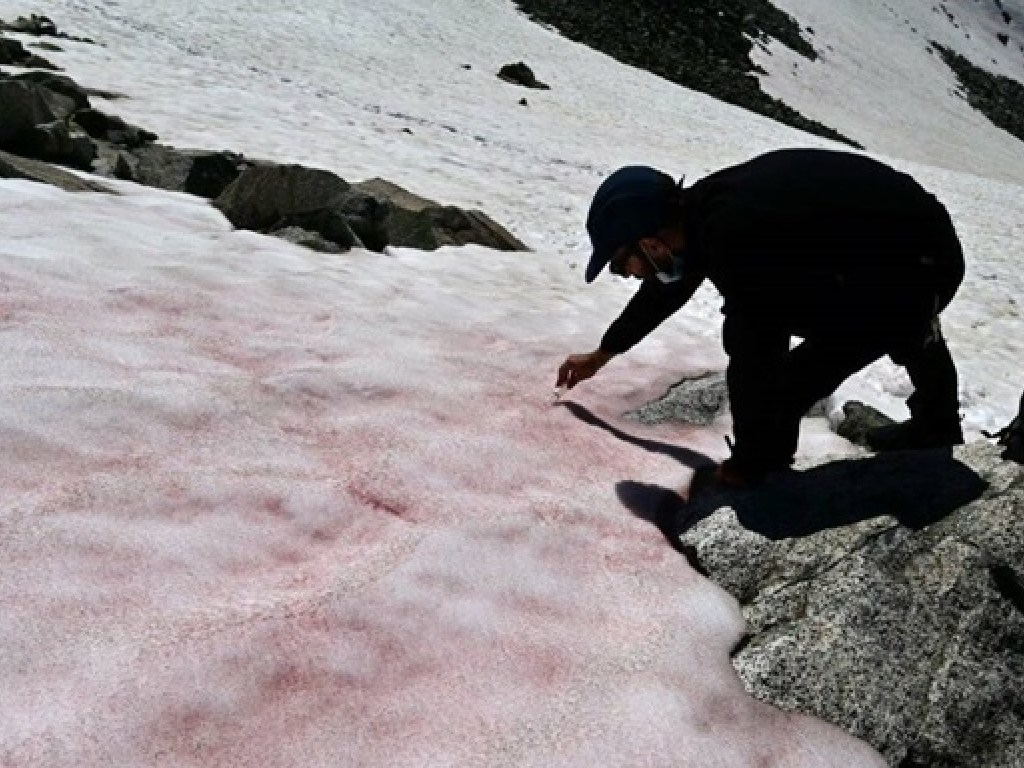 В Альпах ученые обнаружили необычный лед (ФОТО)