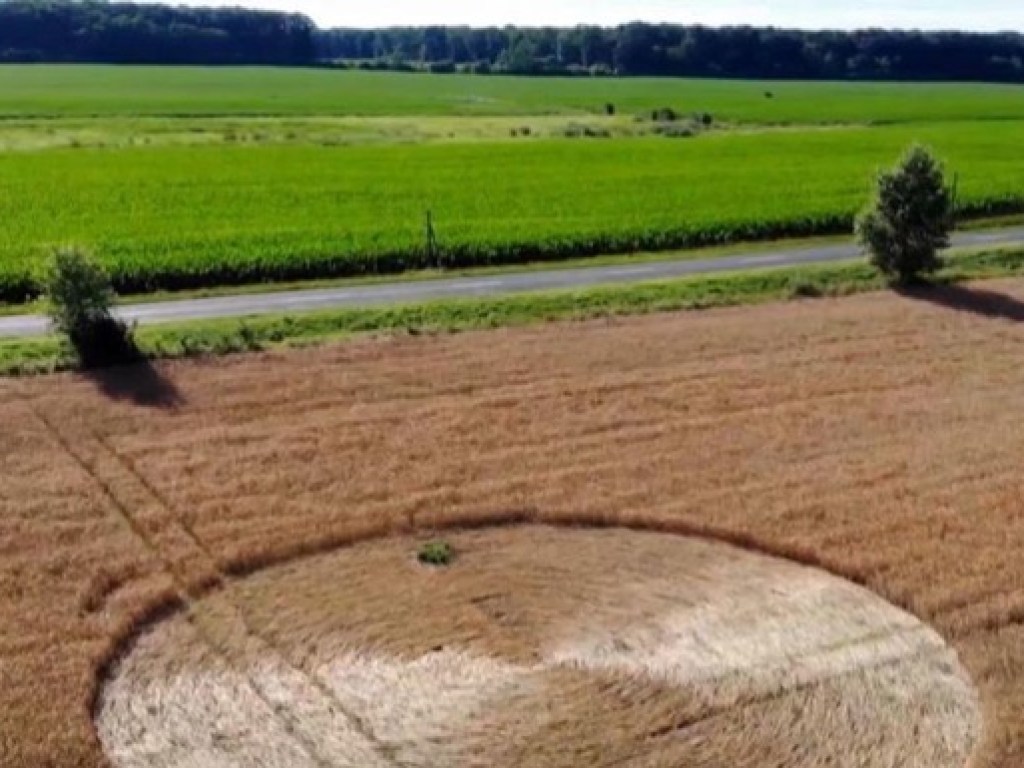 «Инопланетяне или порча урожая»: в Венгрии на пшеничном поле появился загадочный круг (ФОТО, ВИДЕО) 