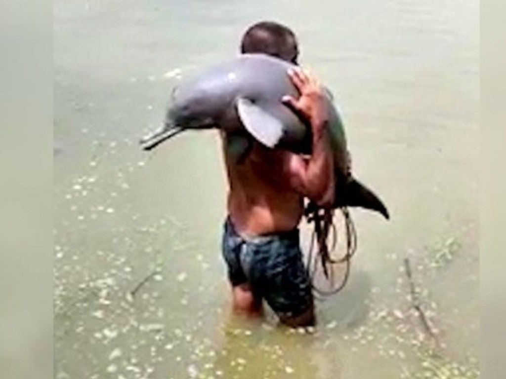 Индийский рыбак спас редкого дельфина (ФОТО)