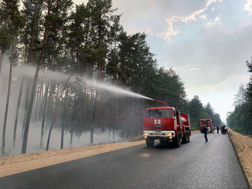 Масштабные лесные пожары в Луганской области военные сняли с беспилотника (ВИДЕО)