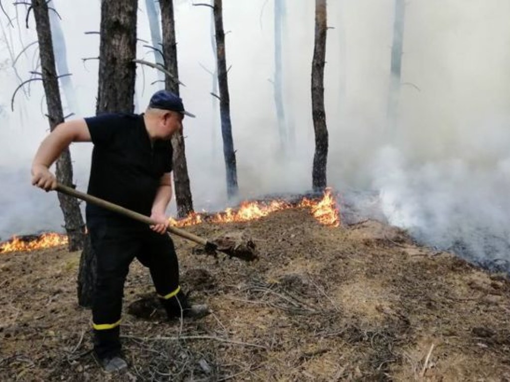 На Луганщине потушили один из очагов пожара