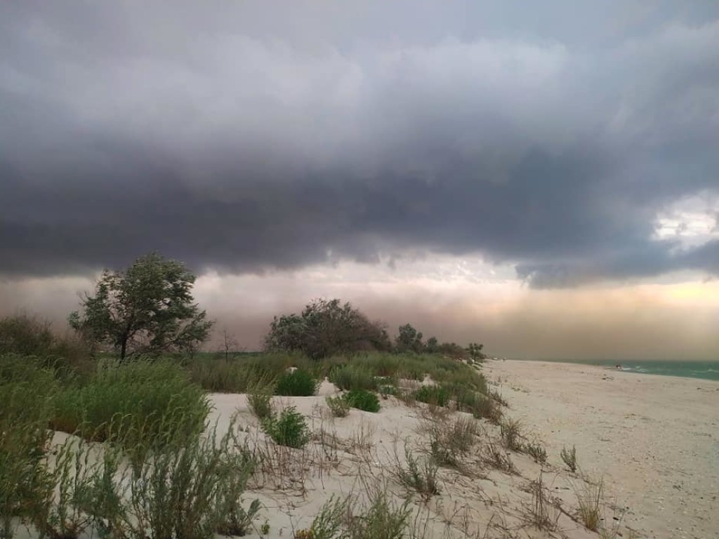 «Сначала были красивые дождевые тучи»: В Одесской области произошла песчаная буря (ФОТО, ВИДЕО)