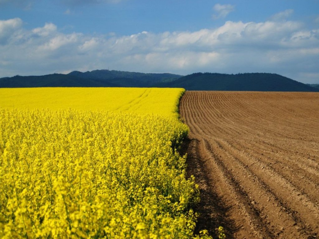 В Госгеокадастре прокомментировали бесплатную выдачу украинцам 2 гектаров земли сельхозназначения