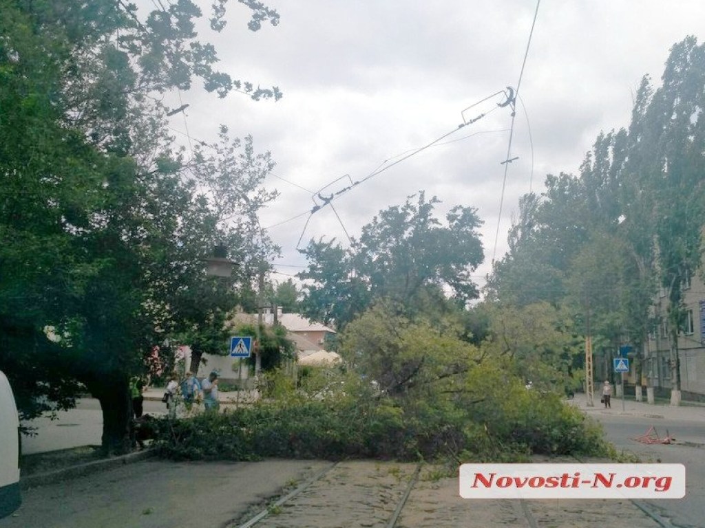 ЧП в центре Николаева: ураганным ветром сорвало ветку дерева, которая оборвала трамвайные провода (ФОТО)
