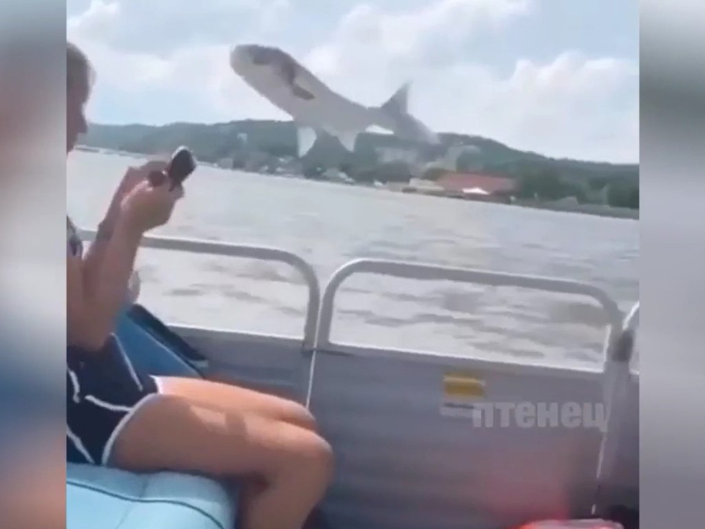 «Лосось в чате!»: Громадная рыба прыгнула в лодку к отдыхающим (ФОТО, ВИДЕО)